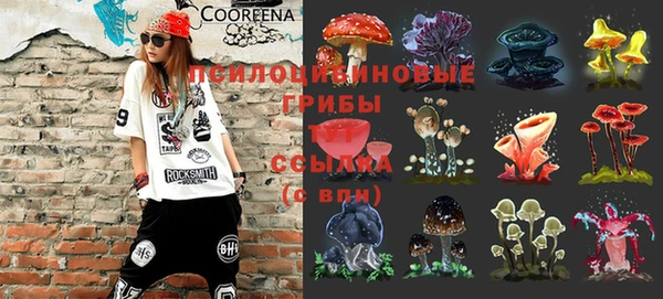 ALPHA PVP Ростов
