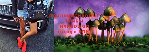 ешки Россошь